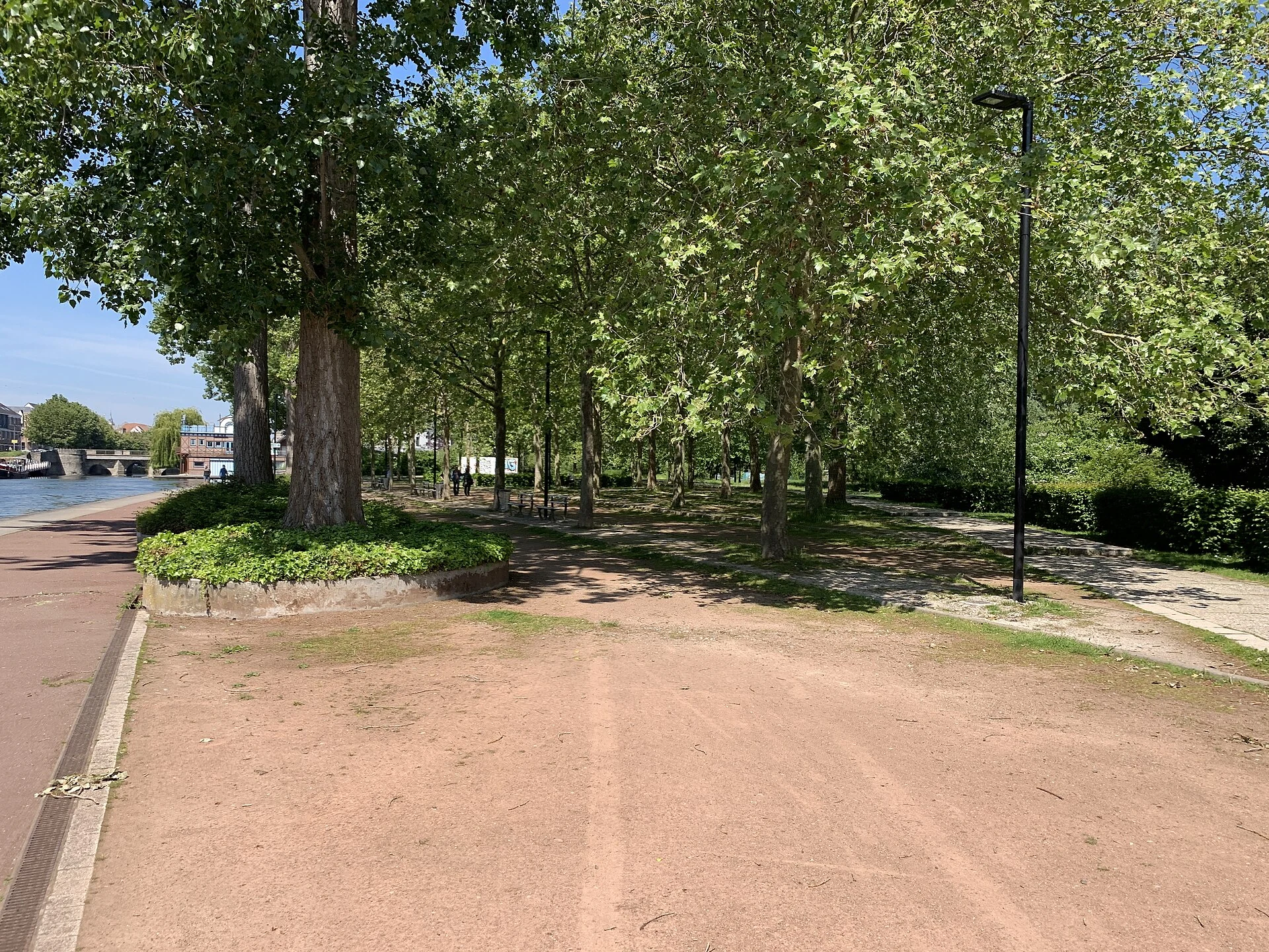Une allée bordée d’arbres au Parc Saint-Pierre à Amiens